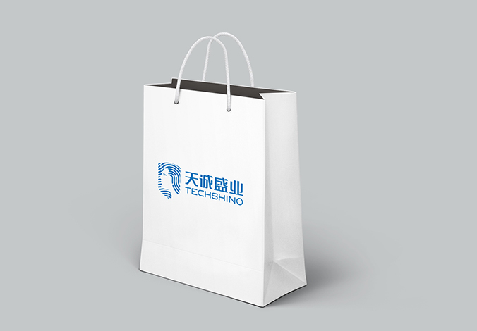 logo設(shè)計(jì) 企業(yè)logo設(shè)計(jì) 商標(biāo)設(shè)計(jì) VI設(shè)計(jì)  天誠盛業(yè)科技