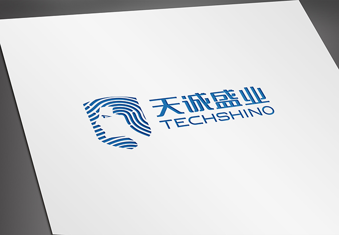logo設(shè)計(jì) 企業(yè)logo設(shè)計(jì) 商標(biāo)設(shè)計(jì) VI設(shè)計(jì)  天誠盛業(yè)科技