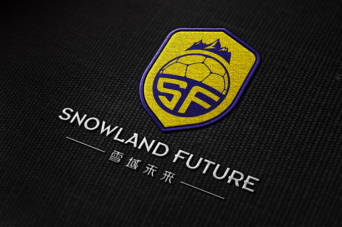 雪域未來 logo設計 公司logo設計 企業標志設計