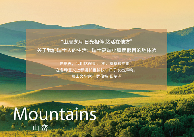 VI設(shè)計(jì)   公司VI設(shè)計(jì)  企業(yè)品牌設(shè)計(jì)  瑞嵐酒店