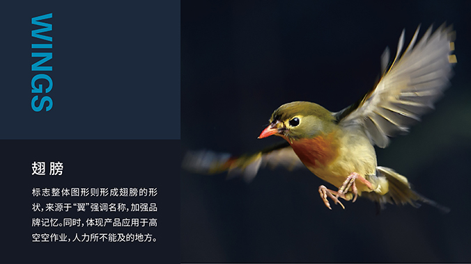 logo設計  企業logo設計 公司標志設計 翼博-人工智能飛行器