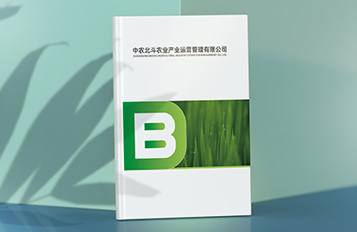 中農北斗農業